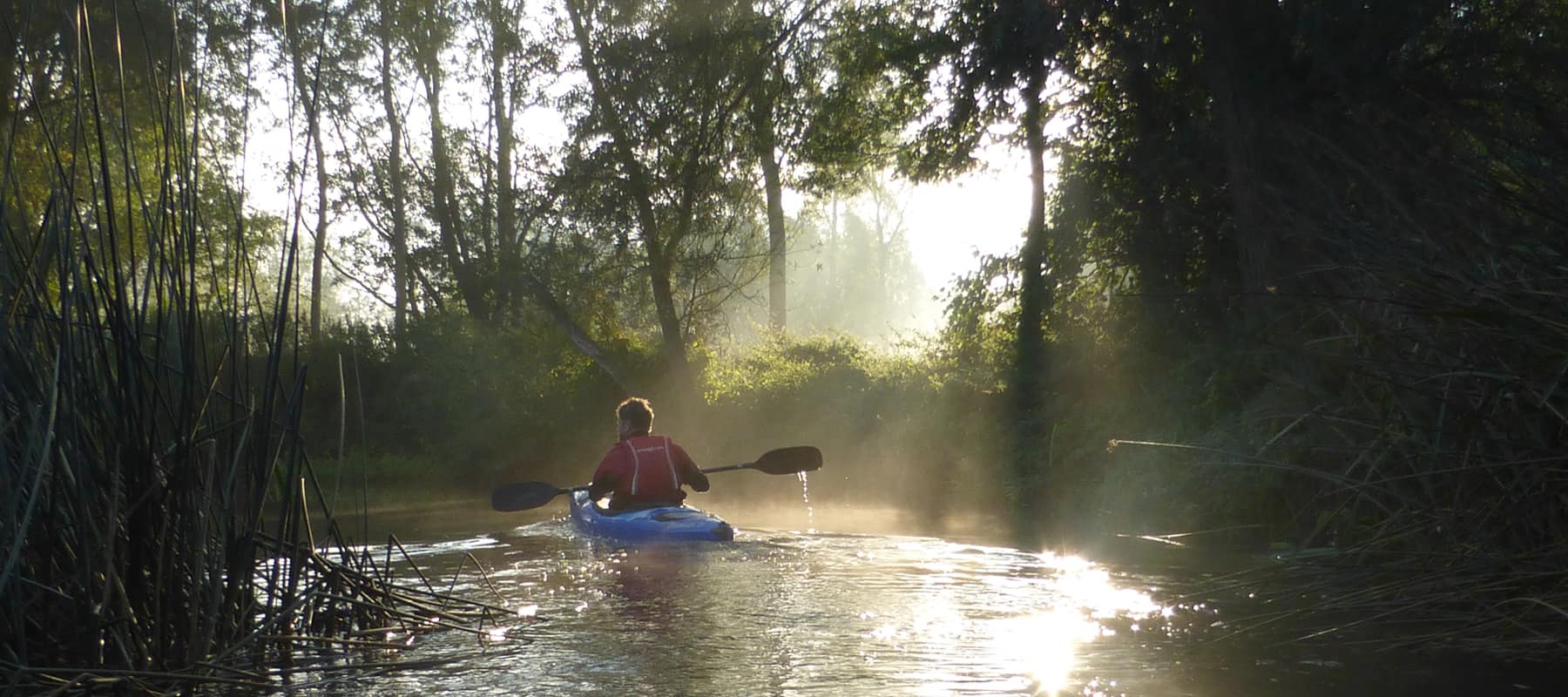 About Us. About the Canoe Foundation. Male paddler on leafy river.