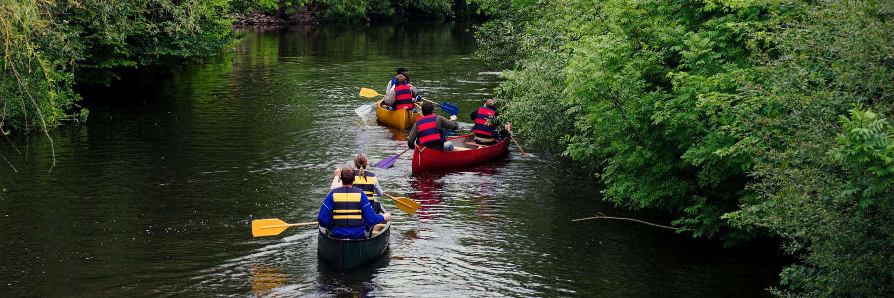 Paddlers kayaking down a river with green banks each side.